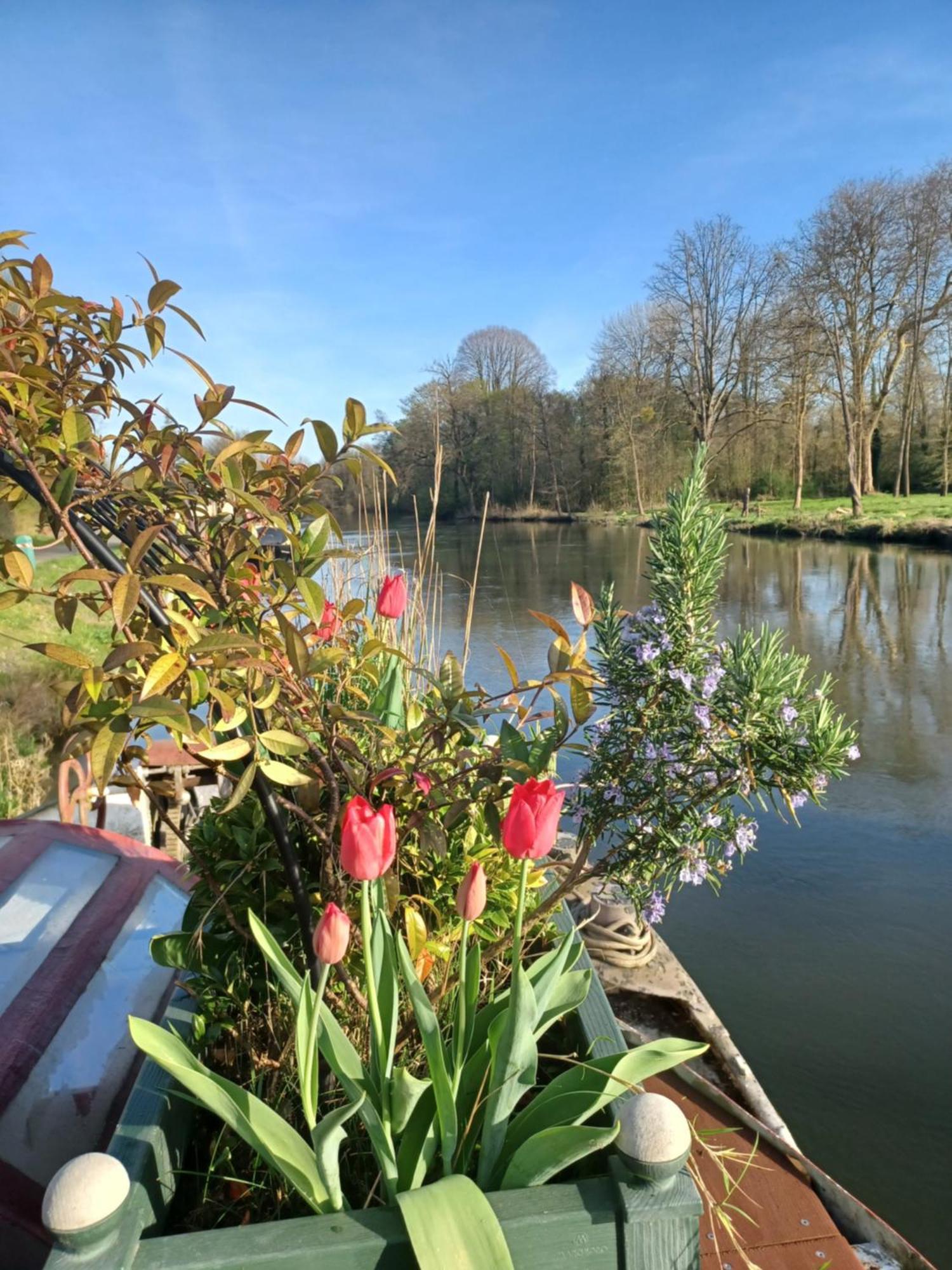 Sur La Somme A Bord De La Peniche Arche De Noe Hotel Pont-Remy ภายนอก รูปภาพ
